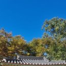 육송정 | 금강산 건봉사(金剛山 乾鳳寺)