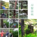 고성 탑벨리 가든 | 특별여행 [강원] 삼척·동해·[경북]울진