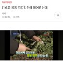 여시 보지 마라 이미지