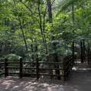 용인자연휴양림 야영장 이미지