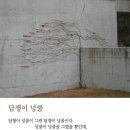 담쟁이 이미지