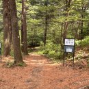 이화산림
