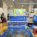 청호활어회센터 이미지