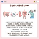 [서울 성모병원] 혈당 낮추는 법, 건강 관리의 핵심 이미지