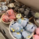 빙쥬르