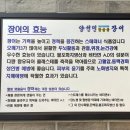 강화도맛집양선민참숯불장어 이미지