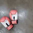 이재일복싱 네이버블로그