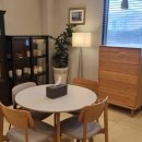 펫로스 케어 이미지