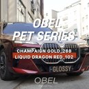 RED | 구리랩핑 글로시 BMW 투톤 랩핑 - CHAMPAIGN GOLD LIQUID DRAGON RED 컬러 시공 후기