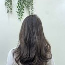 나의 분위기 1인헤어살롱 마곡점