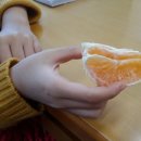 대룡농장 이미지