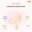 서초구보건소 화장실 | [W28-W29] 임신 7개월차 본격적인 임신 후기로의 진입(눈부신일상 강남점 만삭촬영, 백일해 및 독감...