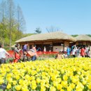 오늘에 주요 뉴스(5.4.) 이미지