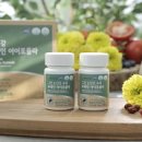 애플트리 이미지