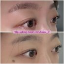 다올브로우 | [강남 속눈썹펌] 다올래쉬 내돈내산 후기 (feat. 한달 전후비교)
