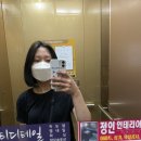 다모아헤어라인