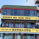 한일 | 속초 봉포항 맛집 봉포한일횟집 대게 세트 후기(회세트는 덤)
