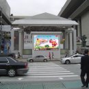 세종LED영상'광고 네이버블로그