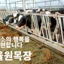 율원목장 네이버블로그