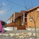 연어의추억 이미지