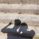 설레는 태교여행 추천지,경주 여행 계획,그 첫날❤️