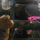 비토바다펜션 이미지