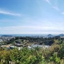 월라봉로 이미지