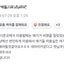 이쁘냥 고양이미용실 대전점 이미지