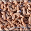 용화축산 이미지