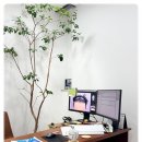 연세에이치의원 | 부모님과 함께 방문한 에이치헤어의원, 강남 모발이식 믿고 맡길 수 있었어요