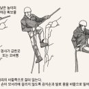 하강 이미지