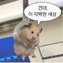 쌍둥이부분정비 이미지