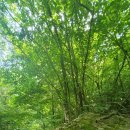 청풍호수펜션 이미지