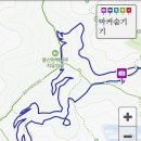 숲323 이미지