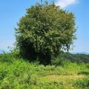 전곡 시가지 이미지