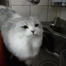 하나정수기 티스토리