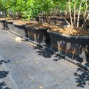 정열농장 이미지