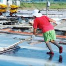 동호농장 이미지