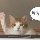 유우히 이미지