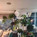 덕포서비스 | 거제도 매미성근처맛집, 덕포해수욕장 한식 바다랑