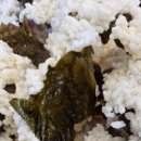 천진마을 이미지