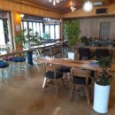 마이산 카페 토박이 이미지