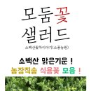 소백산꽃차이야기소풍농원 이미지
