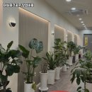 마실파크골프 - 제천시 청풍호로9길 8 | 마실파크골프