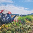 효가사거리 버스정류장 이미지