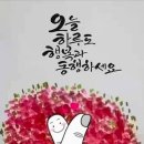 시시비비