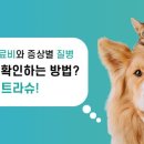 김원일농장 이미지