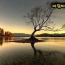 바람 바람아 / 정서주(미스트롯3) 이미지