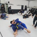 파라에스트라 | 파라에스트라 유소년 오픈매트 참가 후기/오산주짓수/체육관추천/수청동주짓수/파라에스트라세교