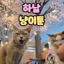 냥이툰 이미지